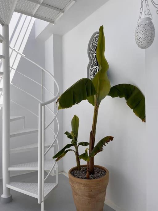 Casa Sira-Charming Home In The Heart Of The Kasbah Tangier Exterior photo
